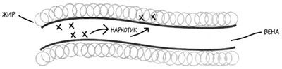 10 фактов о наркотиках. Наркотики.
