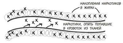 10 фактов о наркотиках. Наркотики.