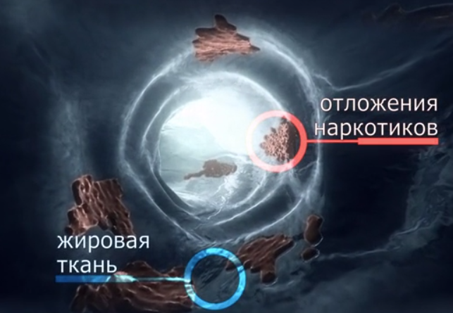 Otlozheniia_narkotikov